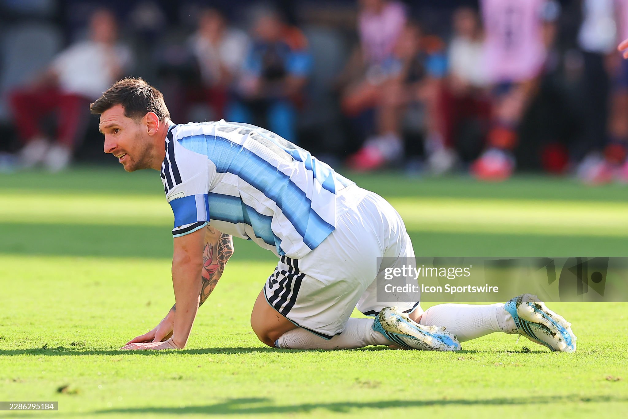 gettyimages 2286295184 2048x2048
