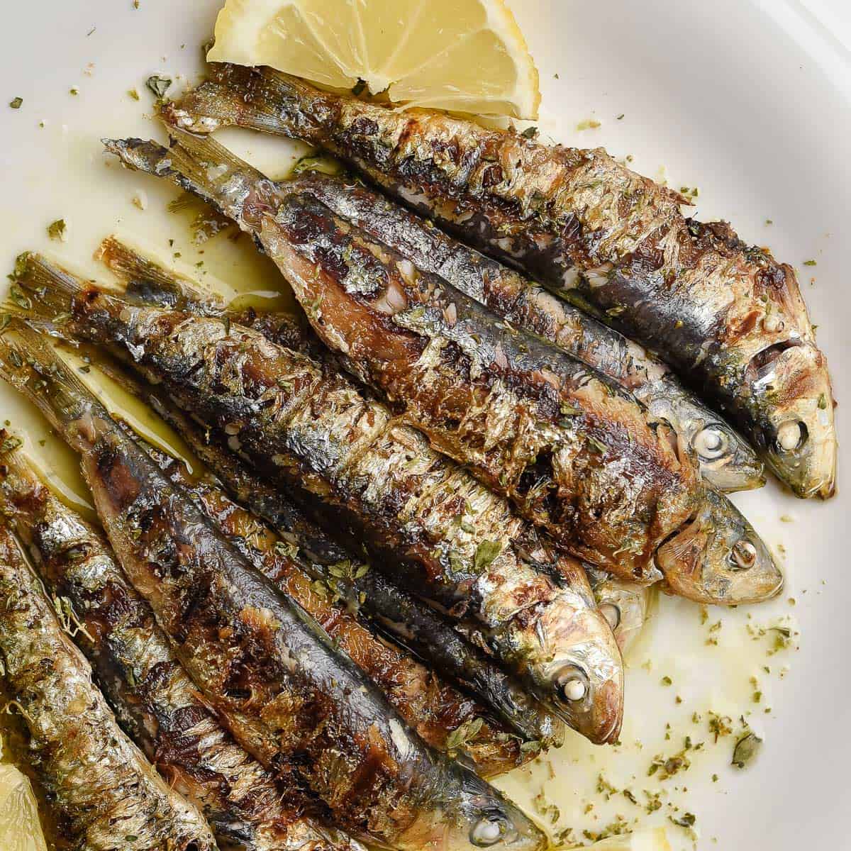 ca moi moirealgreekrecipes