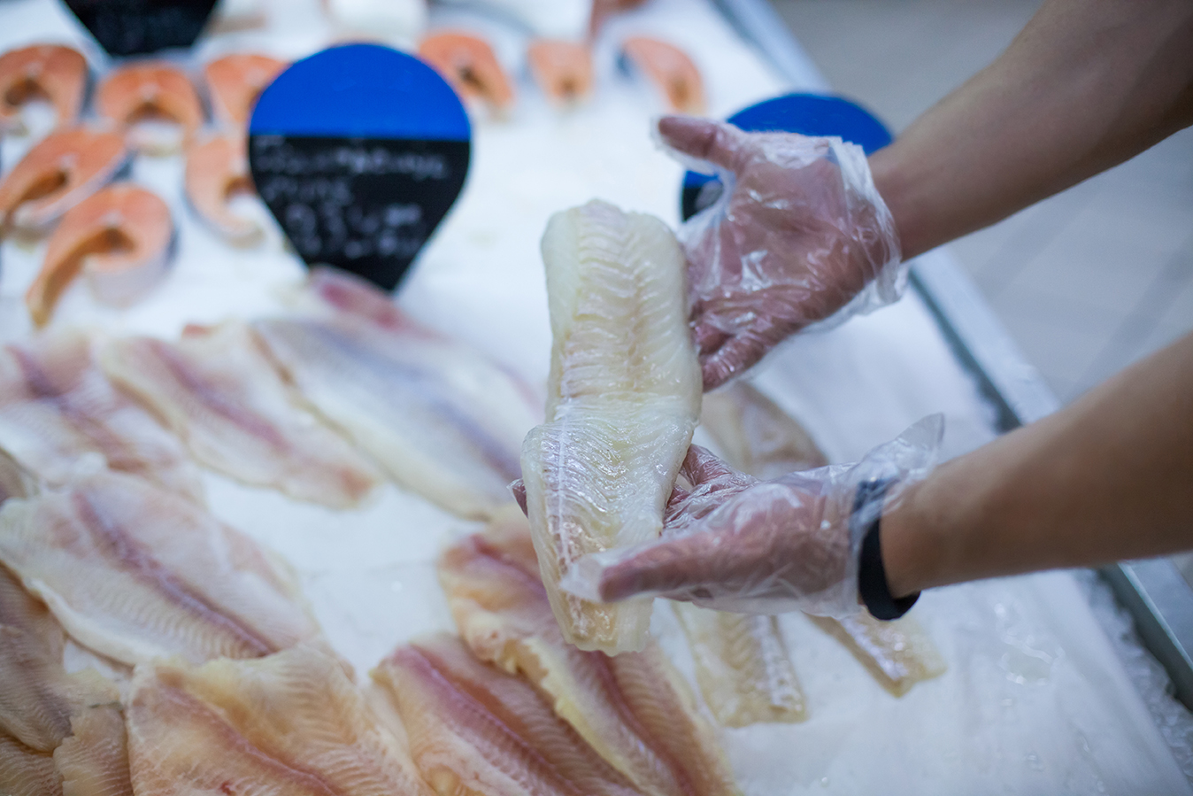 thit ca food safety