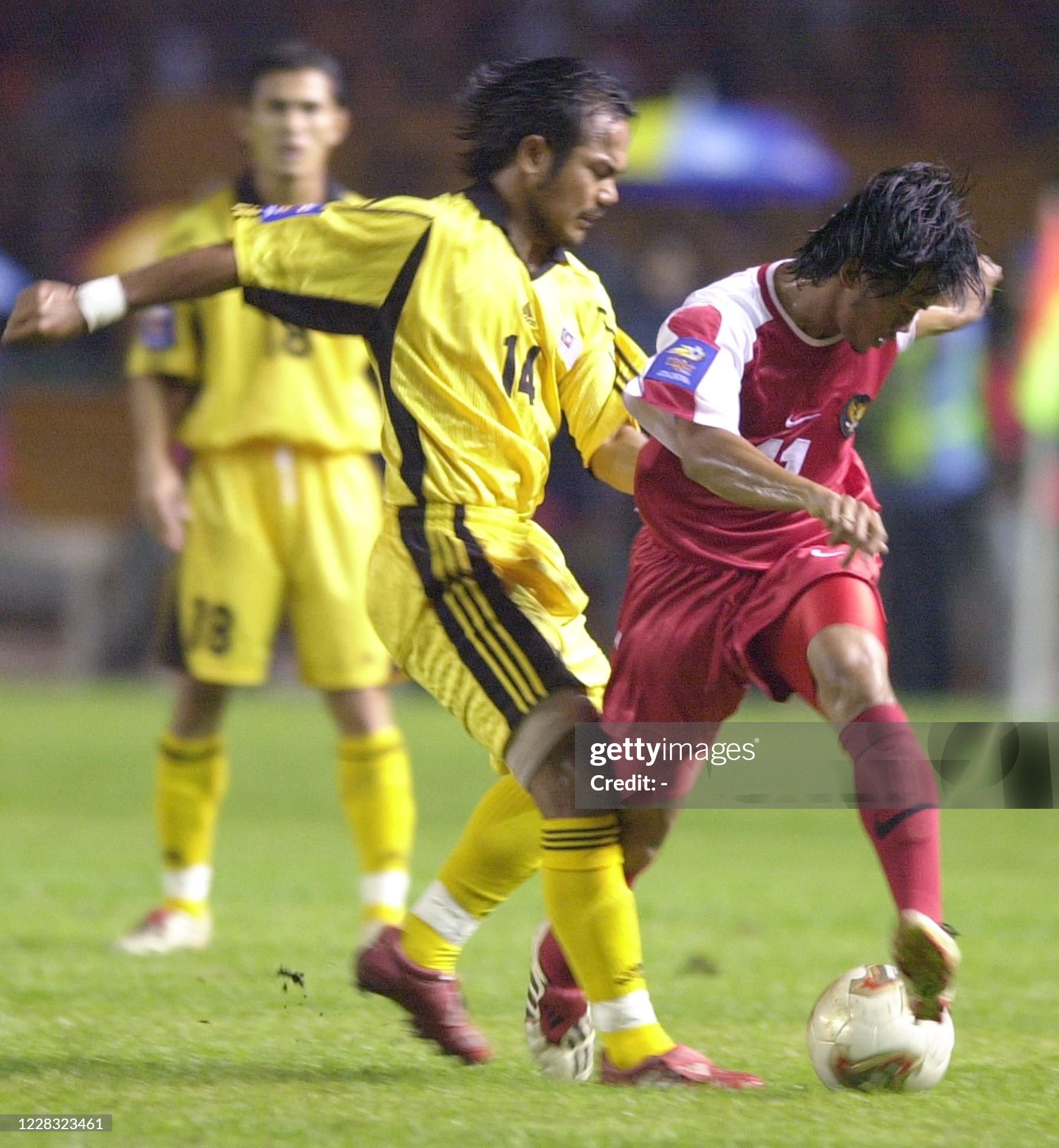 indonesia tiger cup 2002