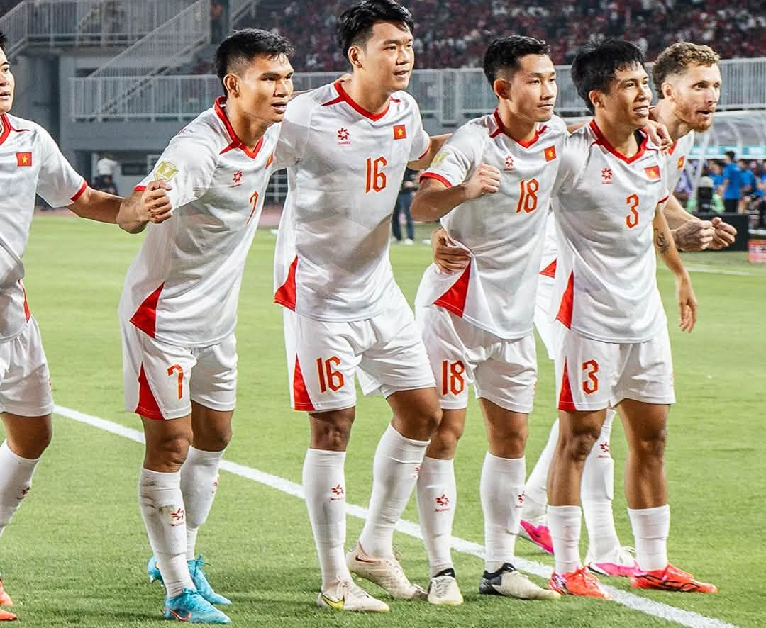 viet nam indonesia 3 0 2