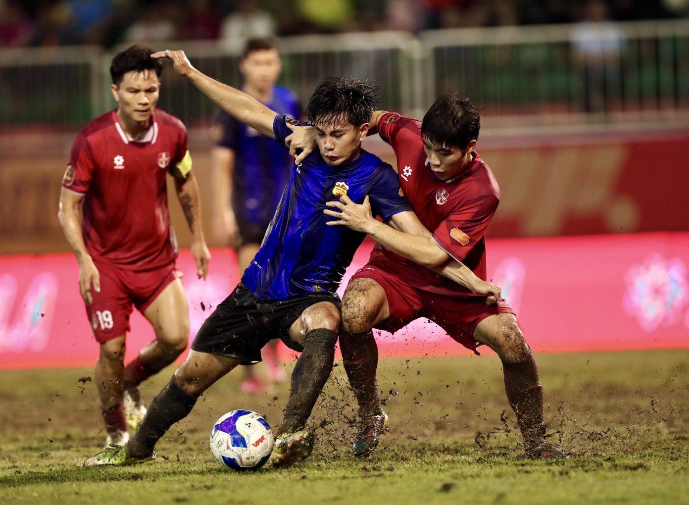 hagl hai phong