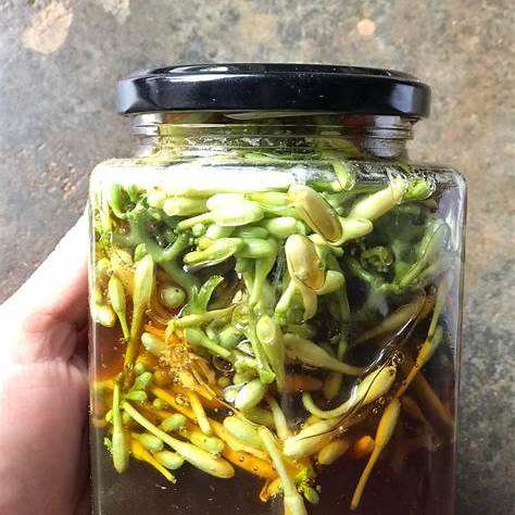 Lời khuyên dành cho tất cả những ai hay uống hoa đu đủ đực ngâm mật ong