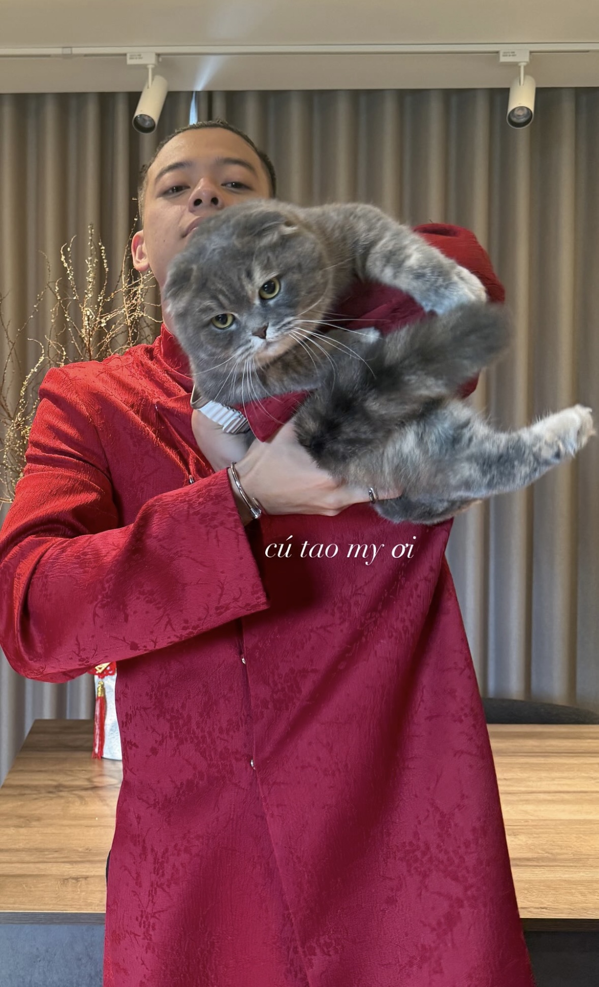 img7233