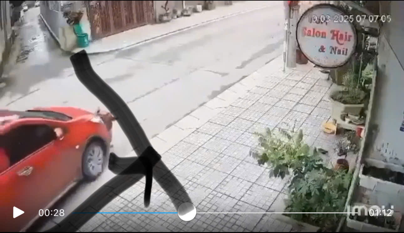 z63968011274765a4ed29e334265c717bc5d88fd6c5143