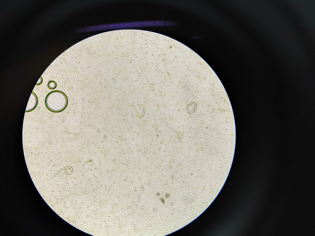 z6459454113318609f347fa56b032fc8a3bd5786b5e6ed