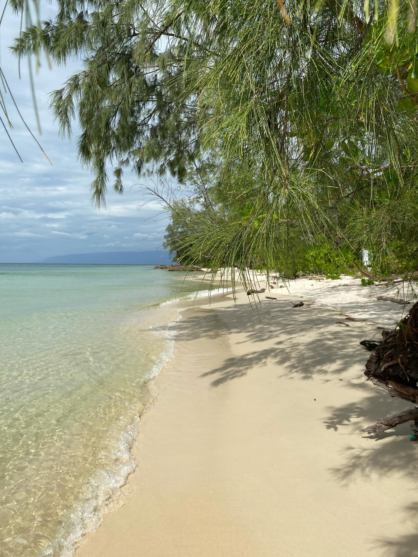 43441517012081044105964563891065392149620836n sao chep