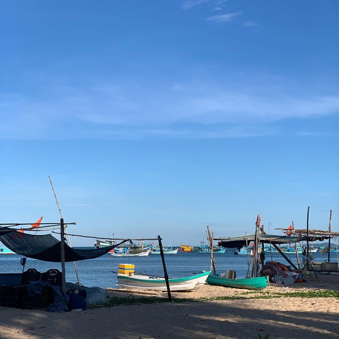 indownloaderapppicture0681313001744972418 sao chep