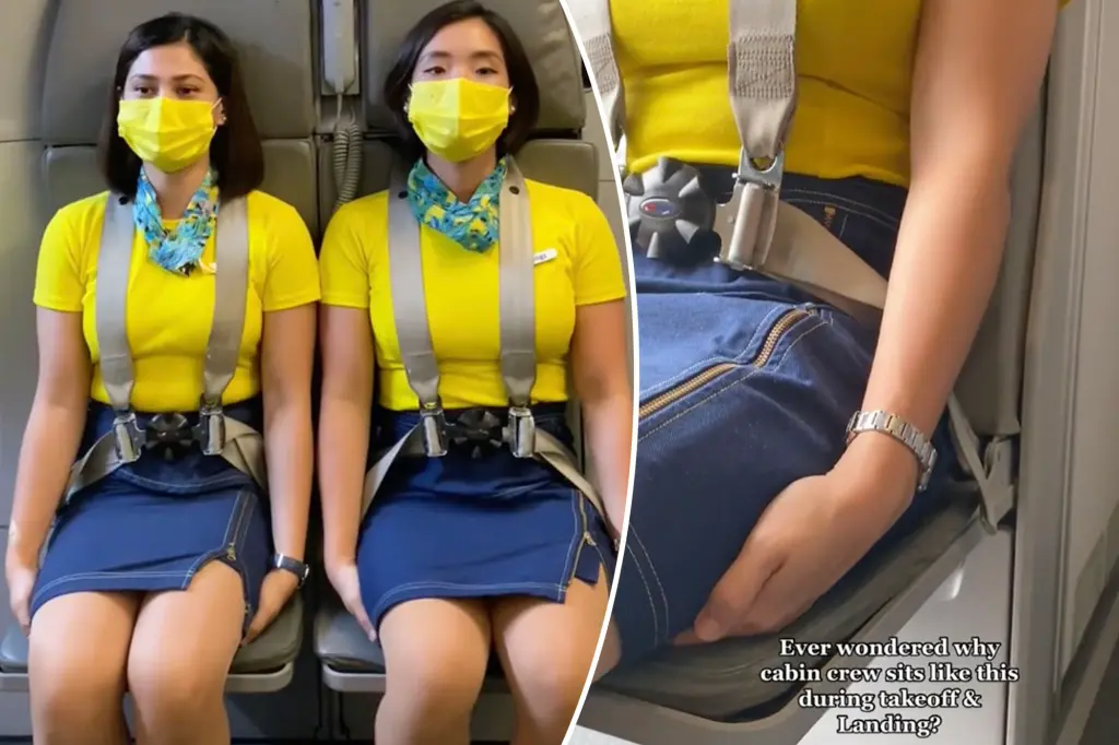 professional flight attendant revealed real 77283387