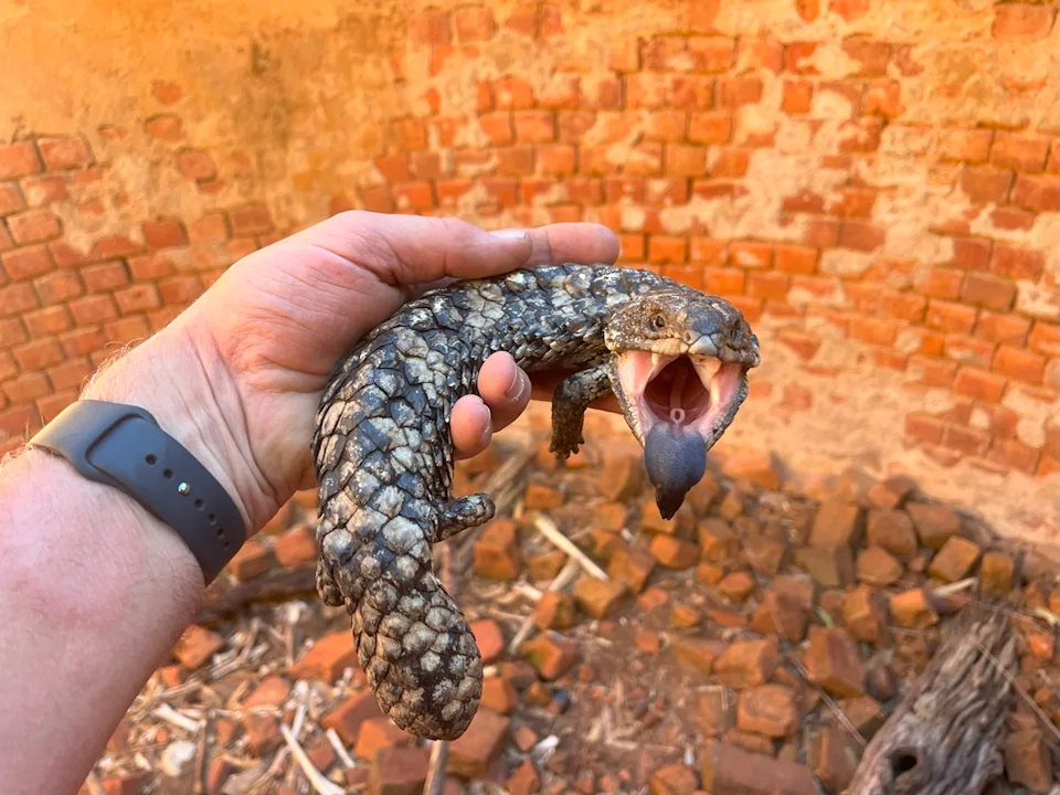 6384dd00 1fec 11f0 bb73 4e53a400efe6