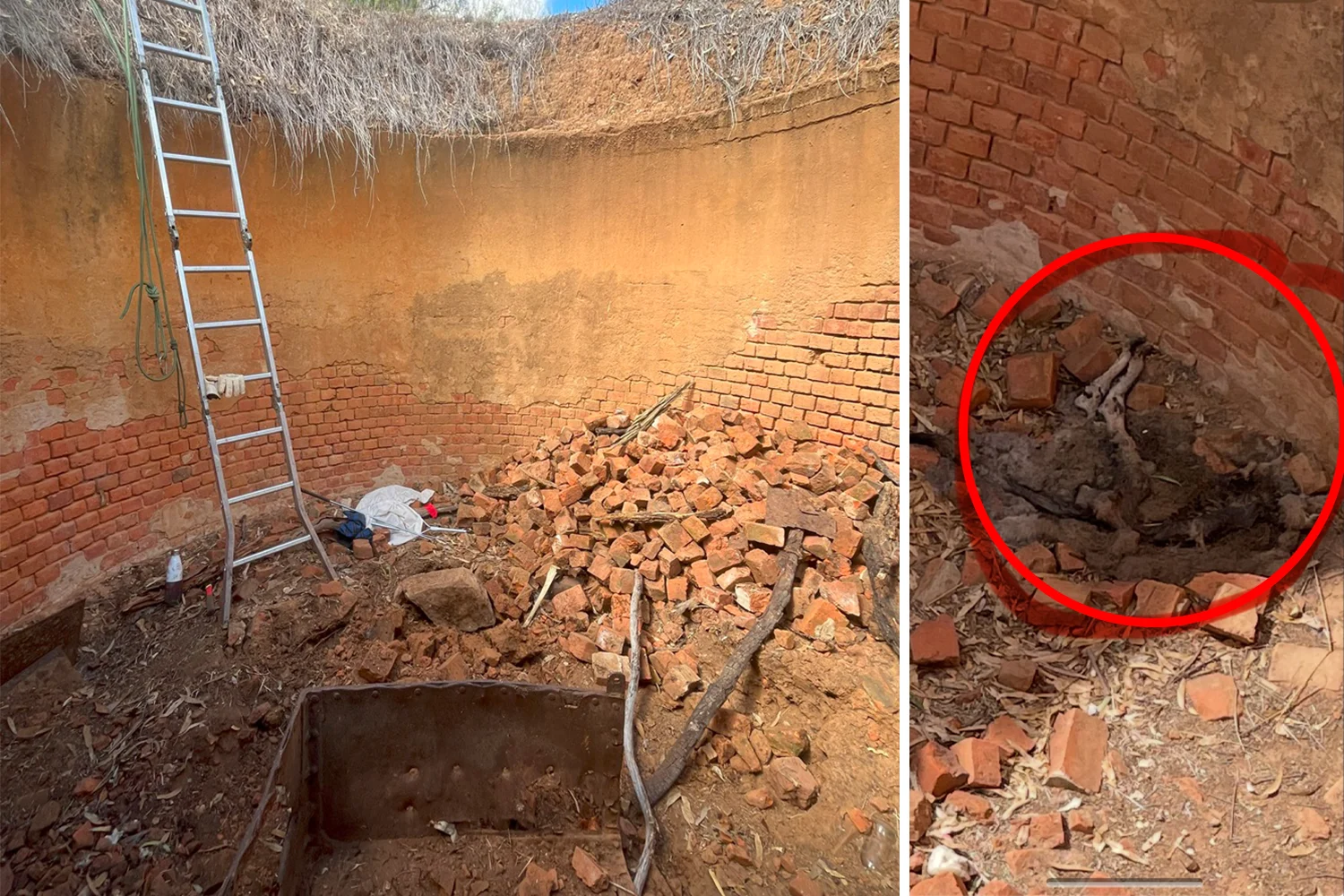 ce8b8b80 1fec 11f0 bebf b9769ad845c0