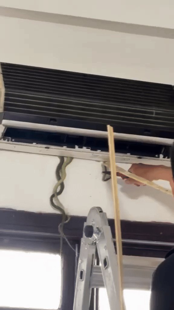 facebook ezgifcom video to gif converter 1