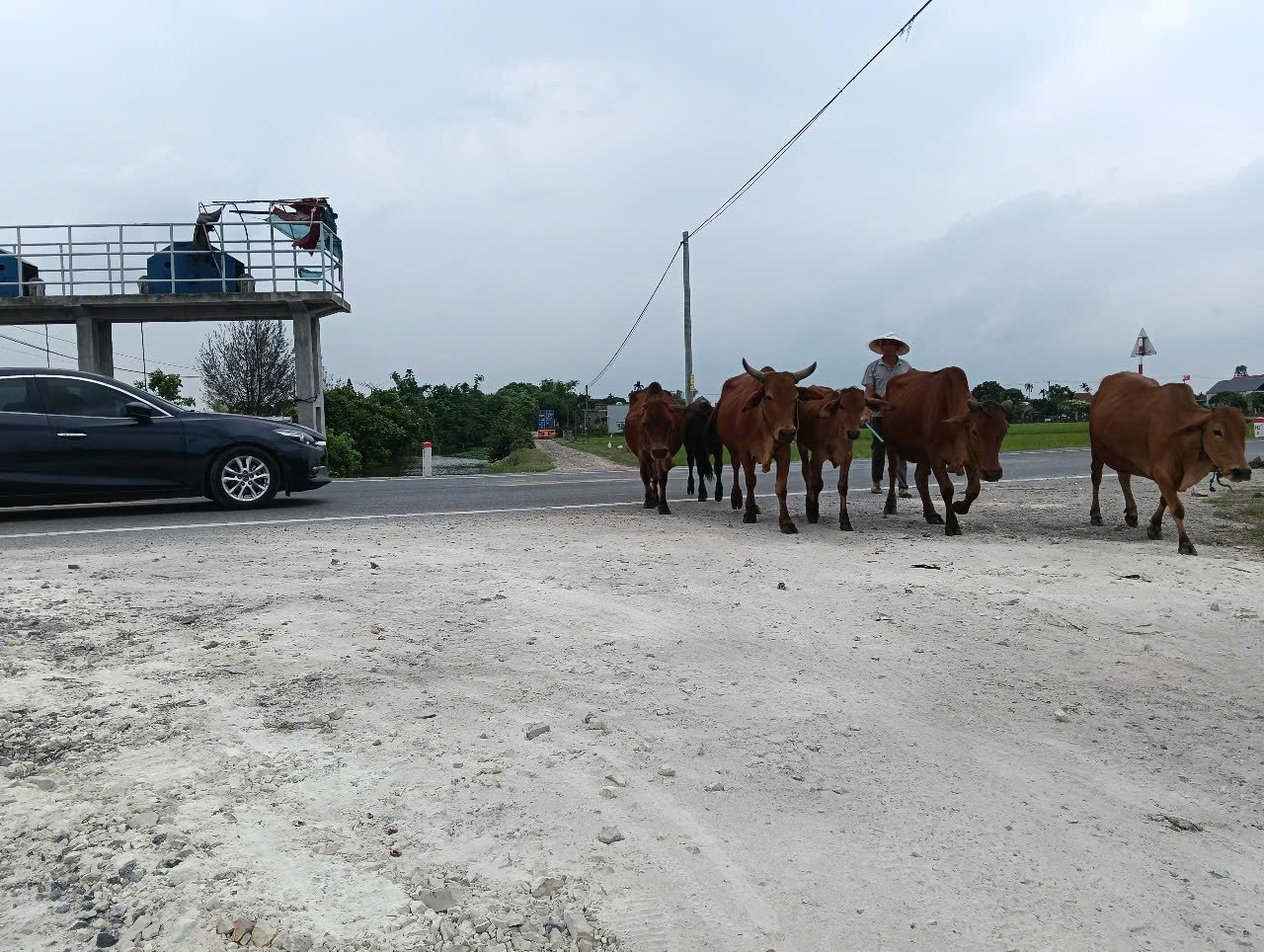 z659363324776888ebc0aa9b6b306b29091849ca926f7e