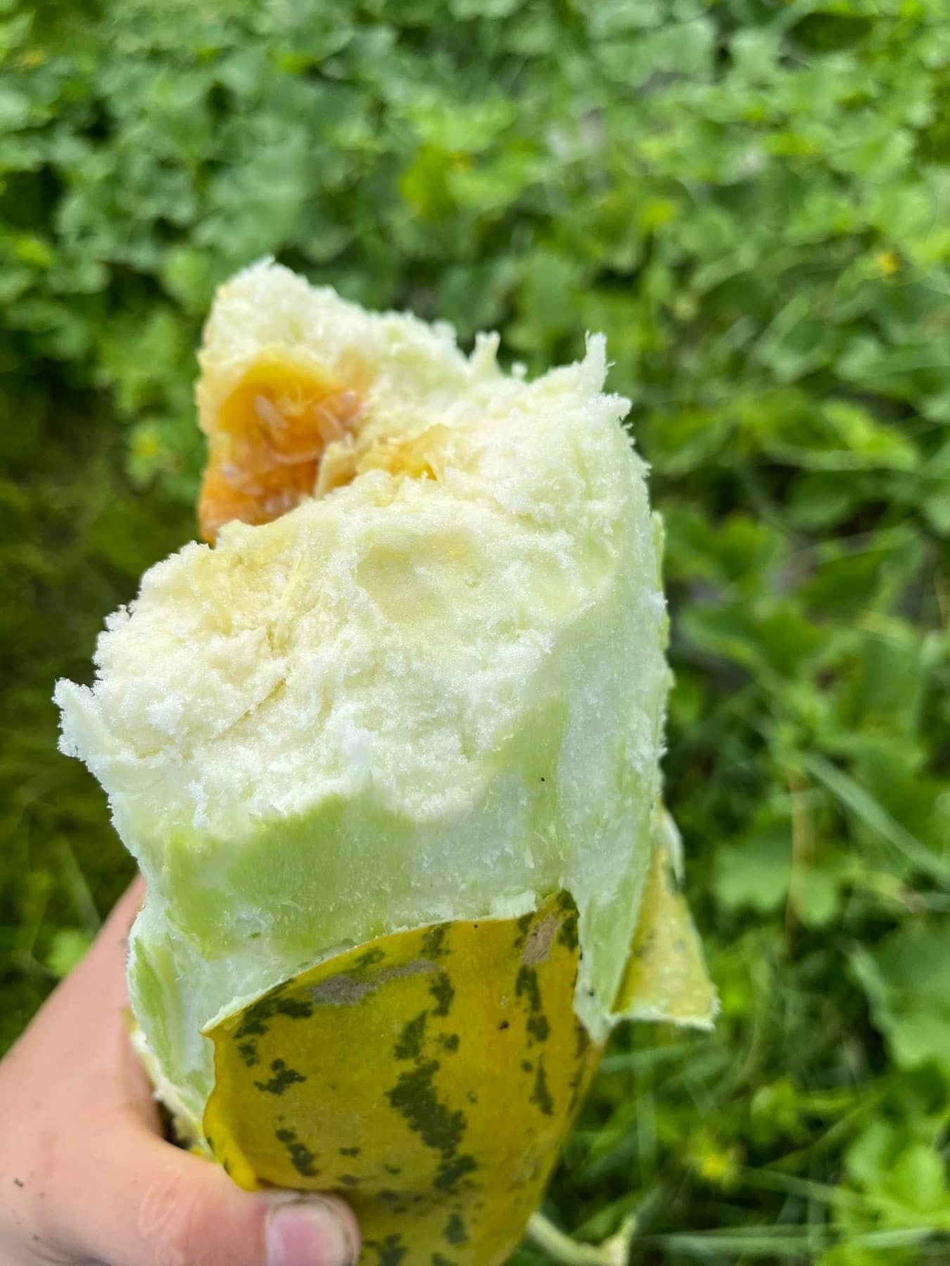 Loại quả rẻ bèo, không lo "ngậm" thuốc trừ sâu được ví như “quốc hồn quốc tuý” ở miền Bắc dịp hè- Ảnh 8.