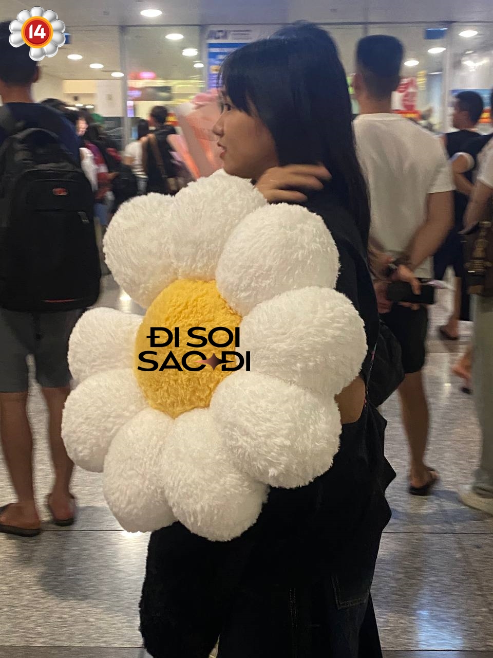 49995626219296467977795618447041799568084085n