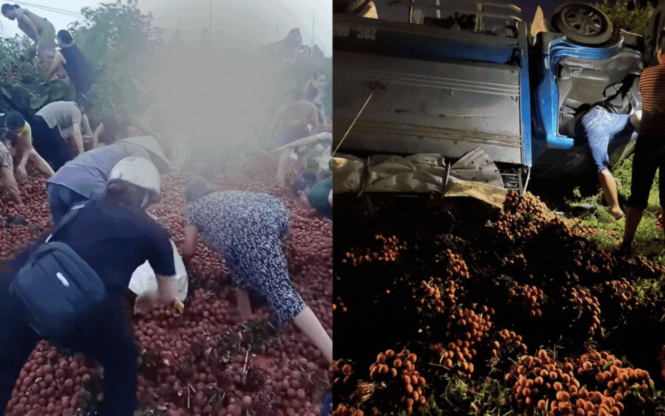 515895512241101334186032062341244101194624562n