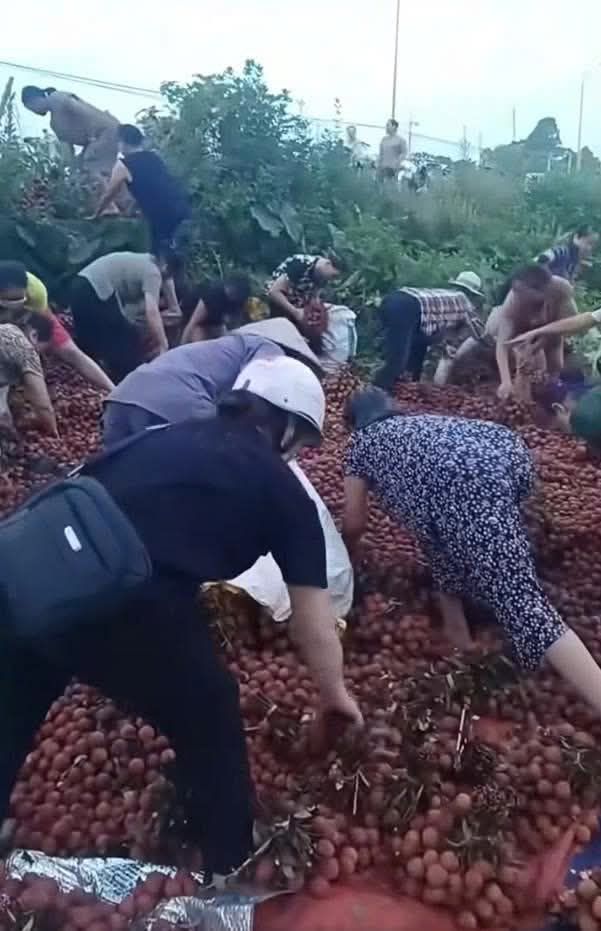 5173920112418836335154914715943378482640381n