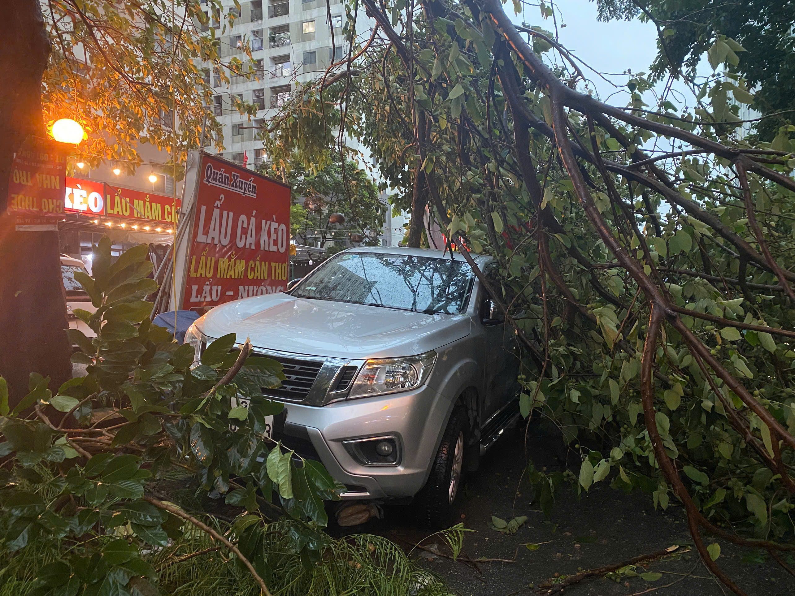 z68209568404786e3dbba55bd6bd88ff371341204558fa