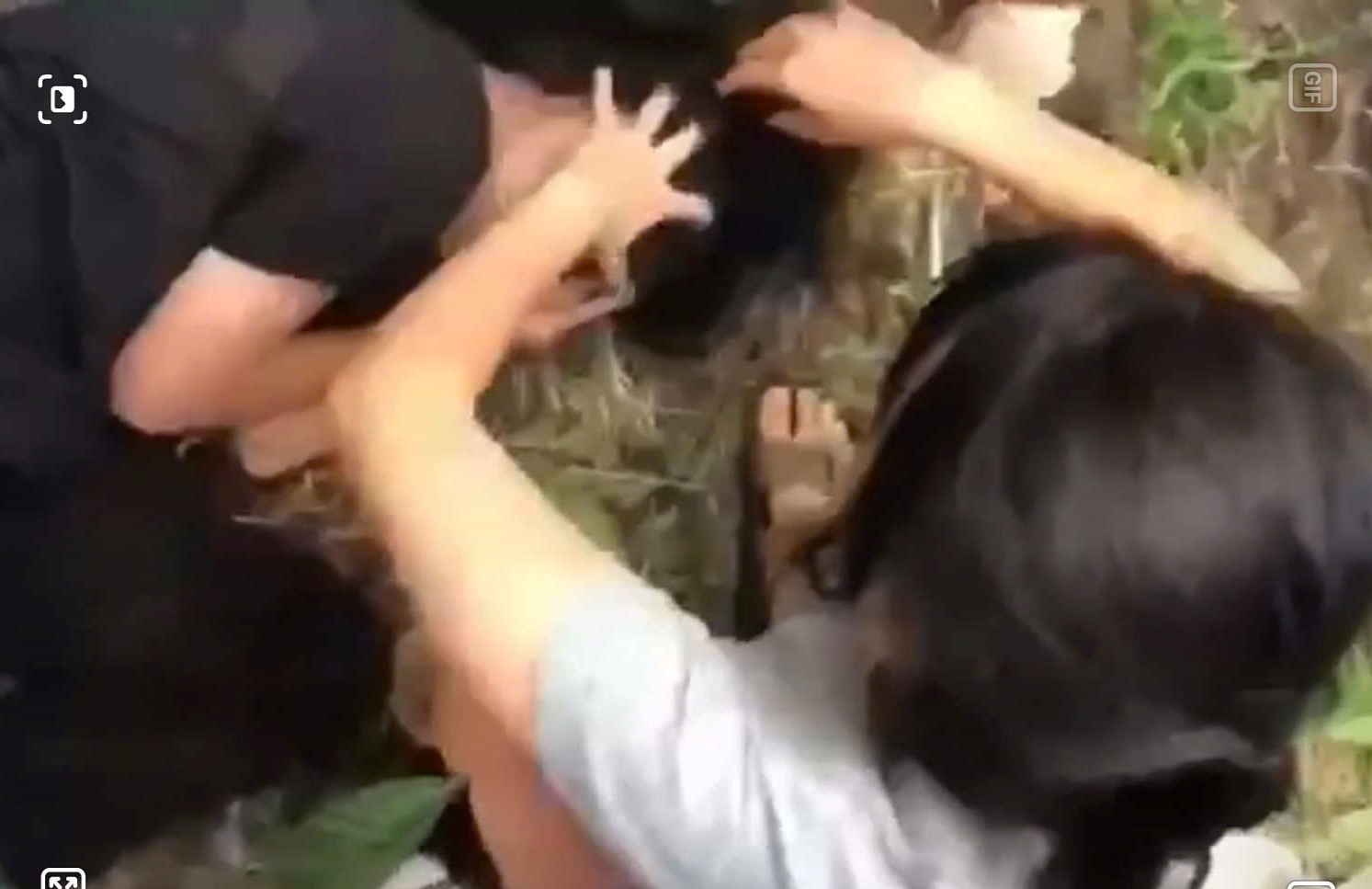 z6824185562071ae72be1ec6b57a1d9a418f80221d918c1