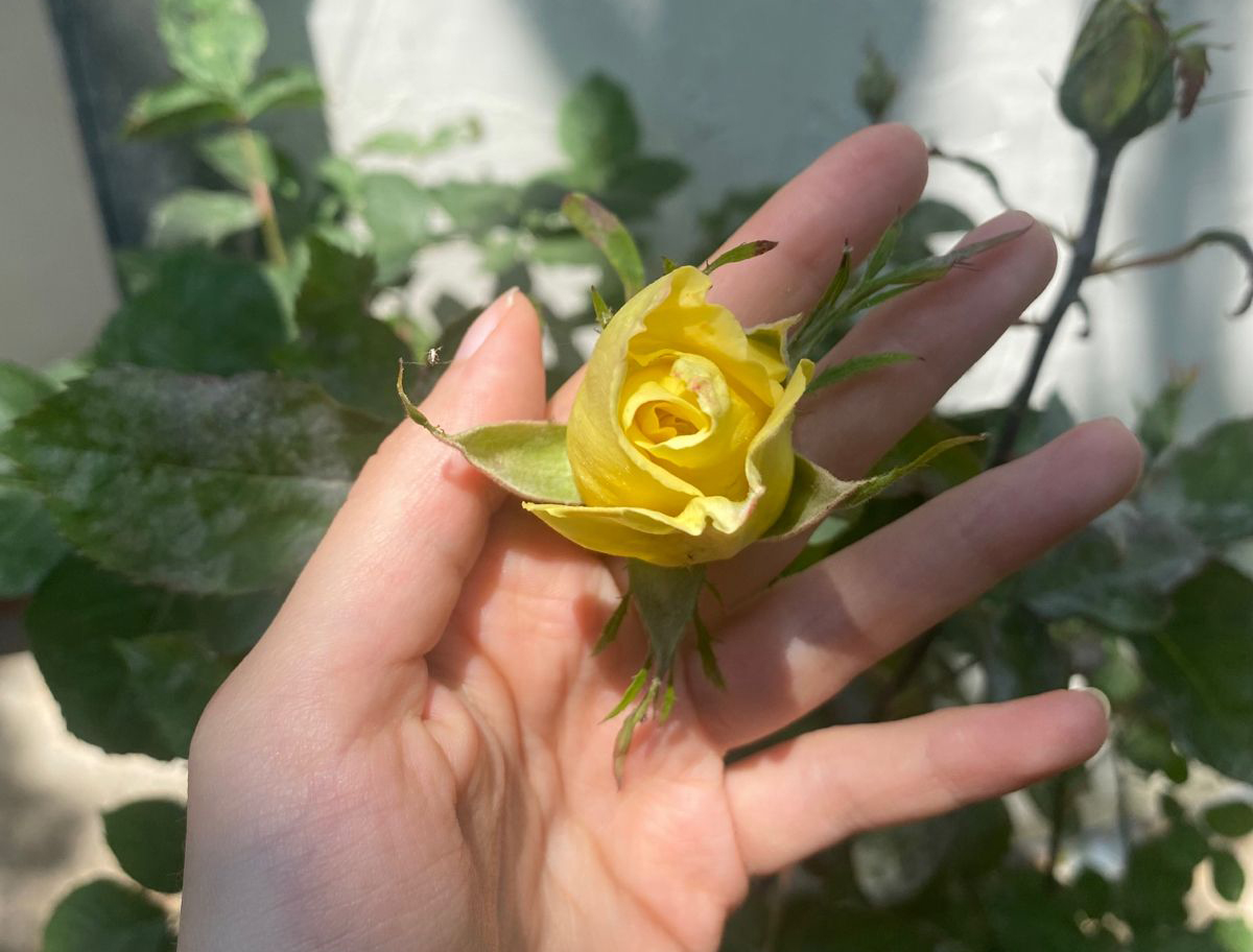 b38b9802da27875a1c8f5f5ce7aa0d98