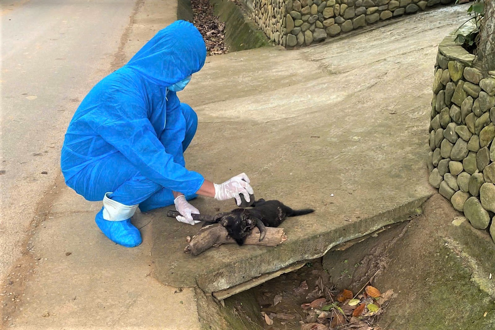 z6858067573203d5865b46c8f289323545864d69043a2a1