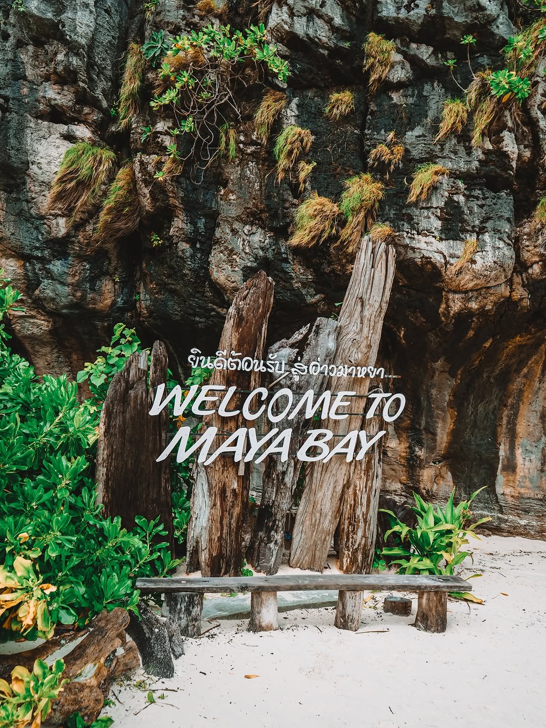 indownloaderapppicture0280597001754226805