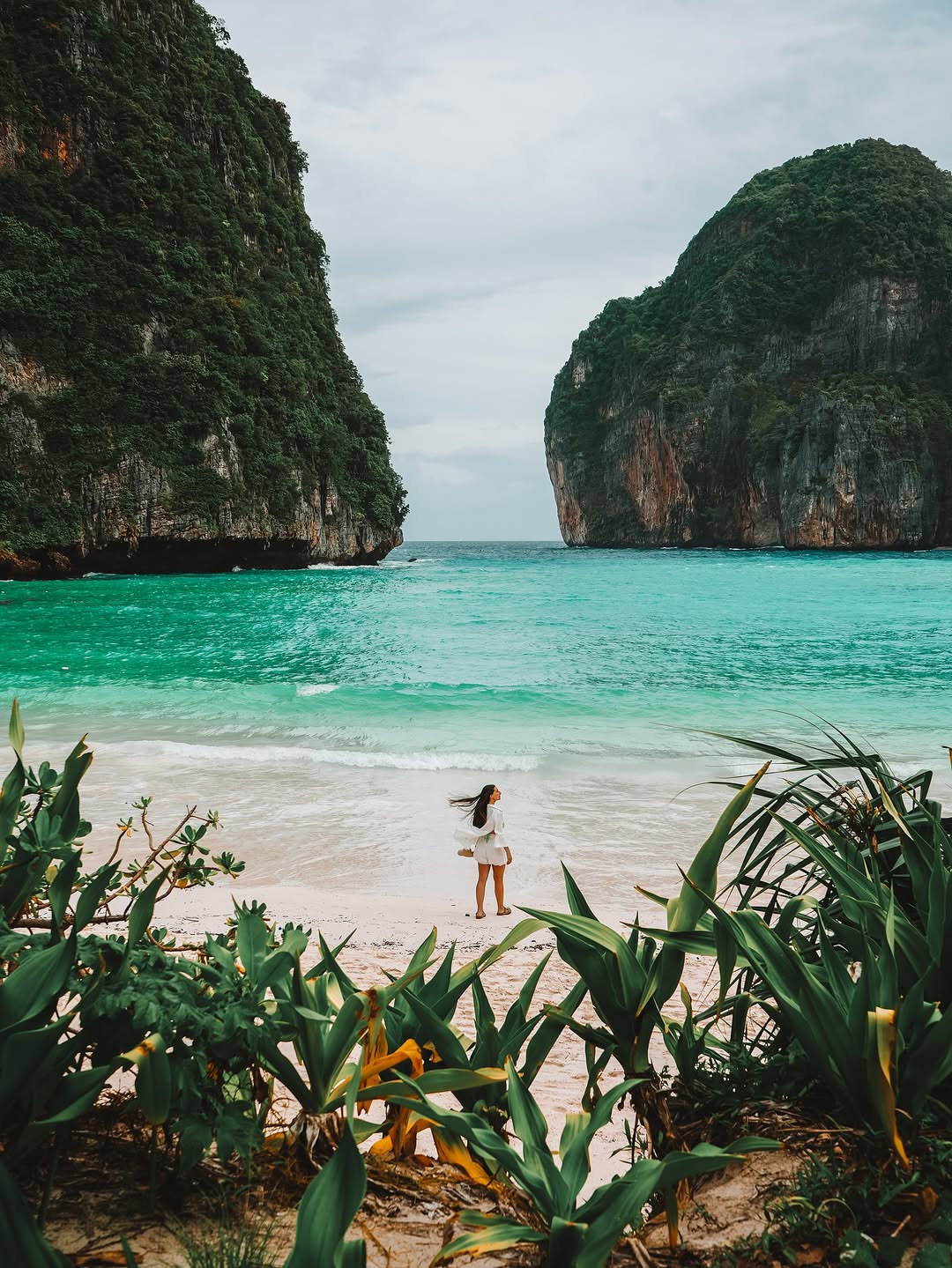 indownloaderapppicture0472906001754226814