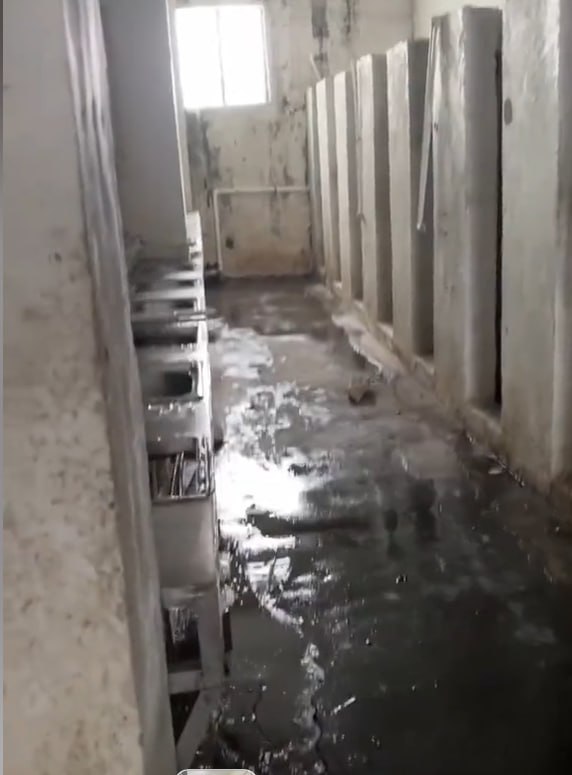 photo2025 09 1716 26 50