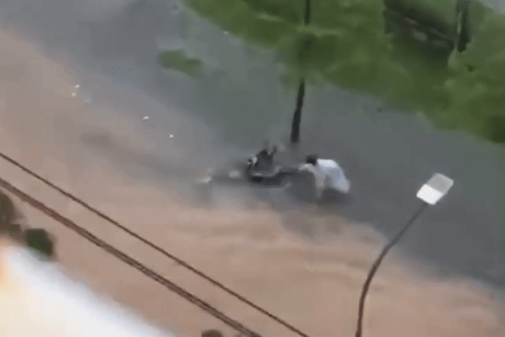 7132841049969 ezgifcom crop