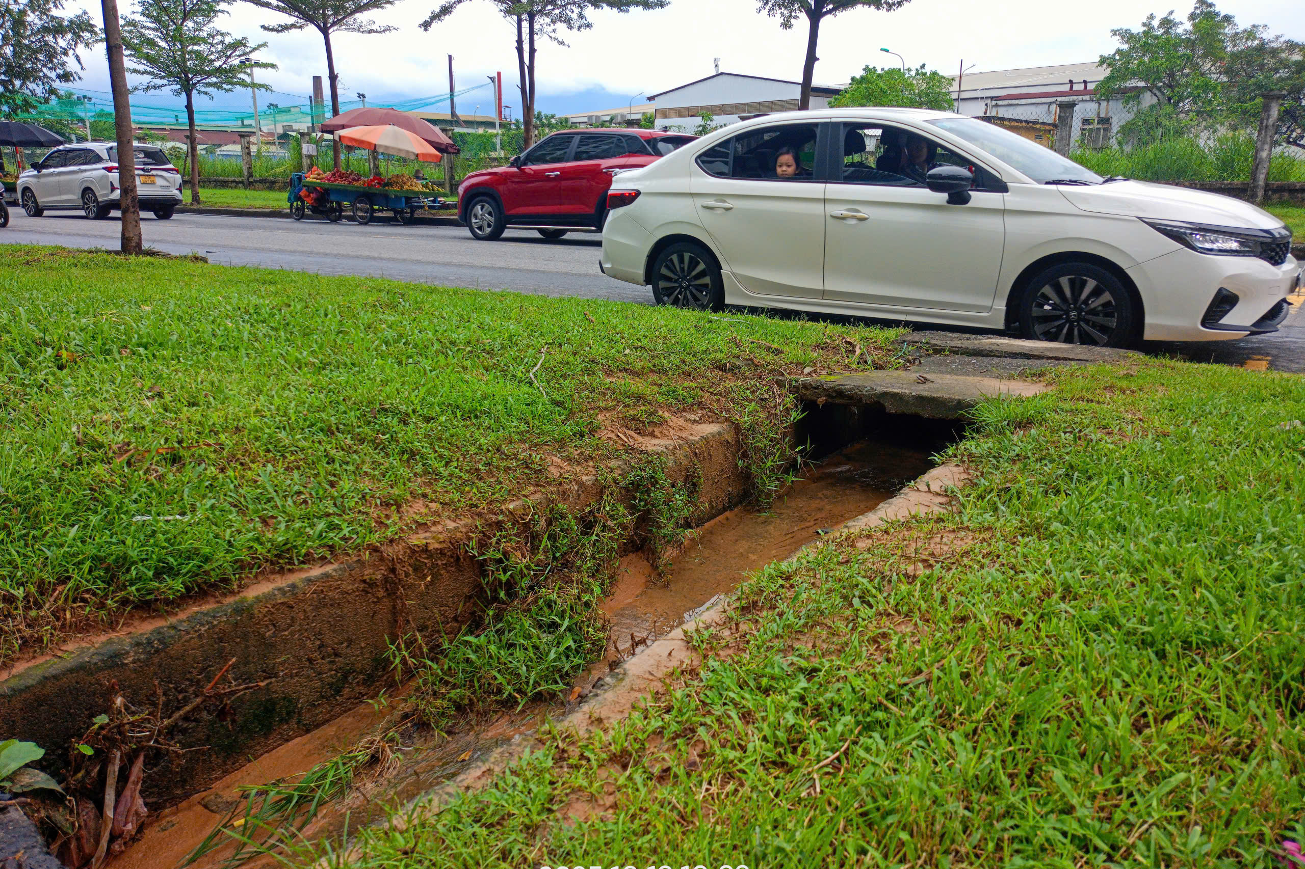 z7132819946935736d56efc65ab71ac7e4b3917d225199