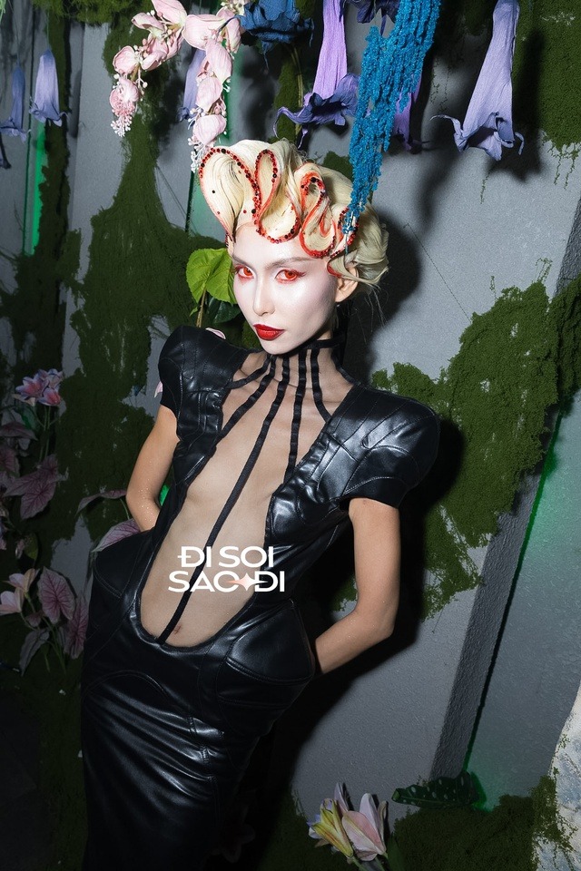 k14vita0446 1 176192721741316330