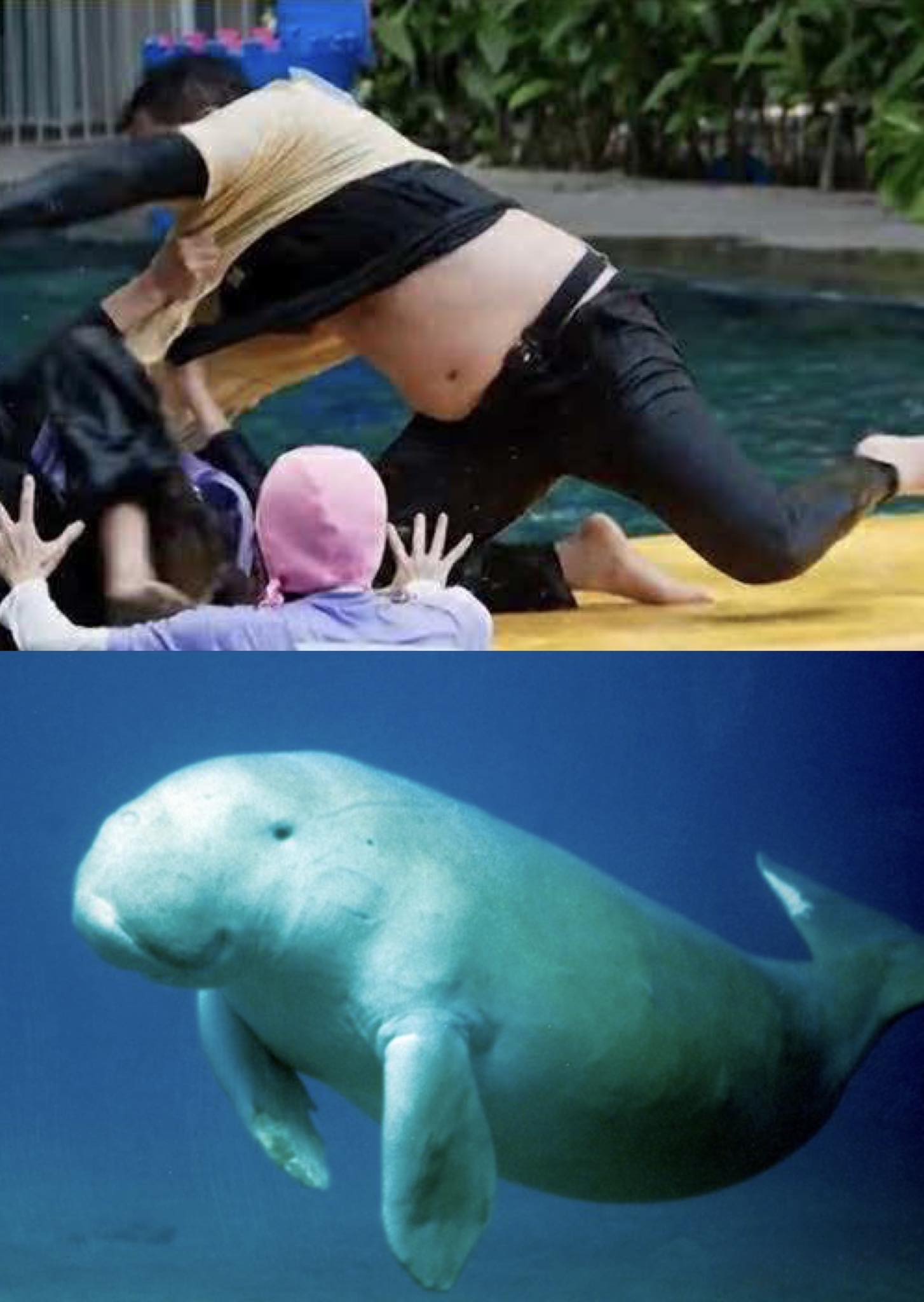 5711581801423873042436294671791612201781493n1