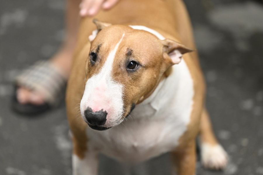 ava 301 1762335990171 17623359904791008472270