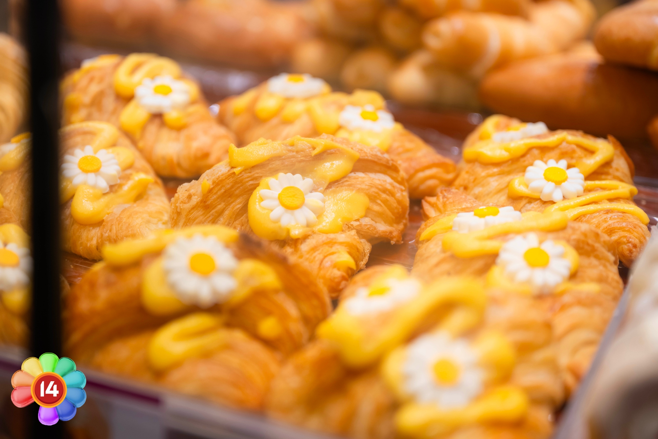 dsc5115 copy dsc5115 copy