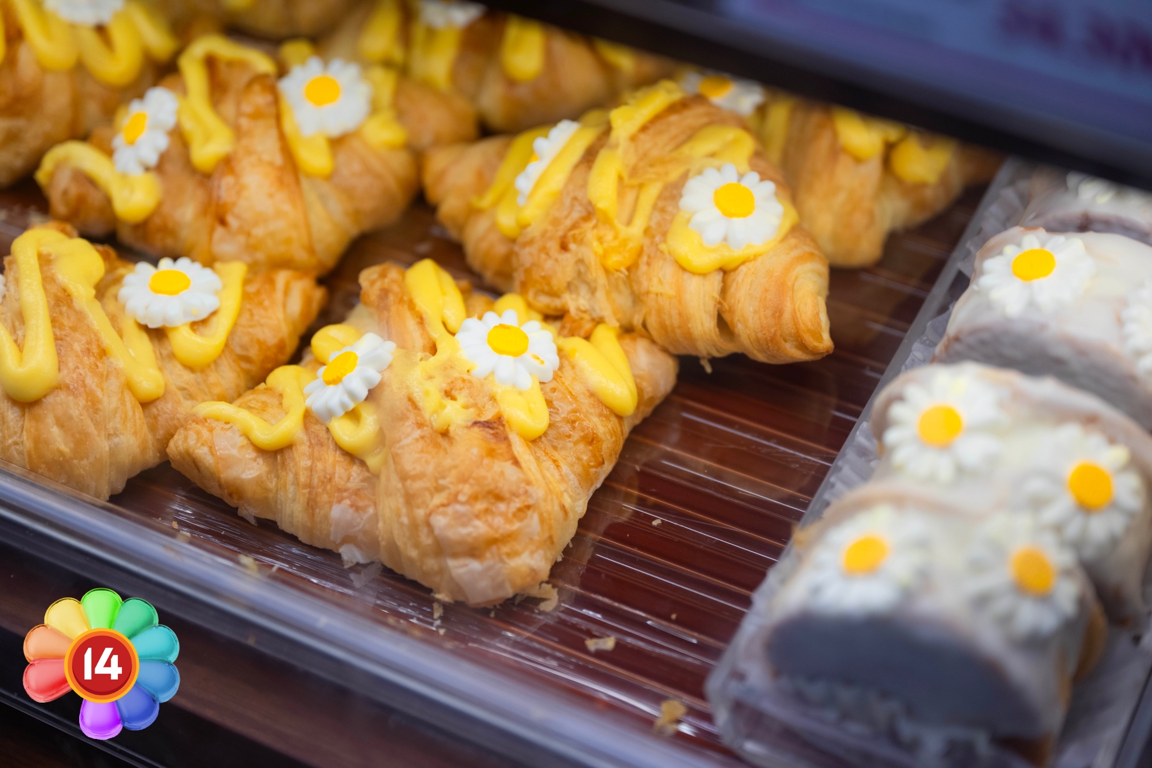 dsc5116 copy dsc5116 copy