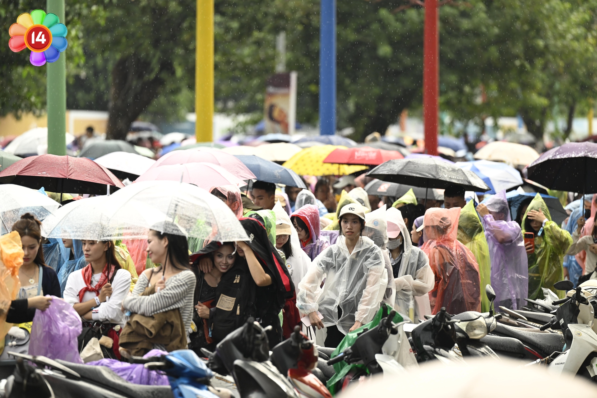 dsc55650001 dsc55650001