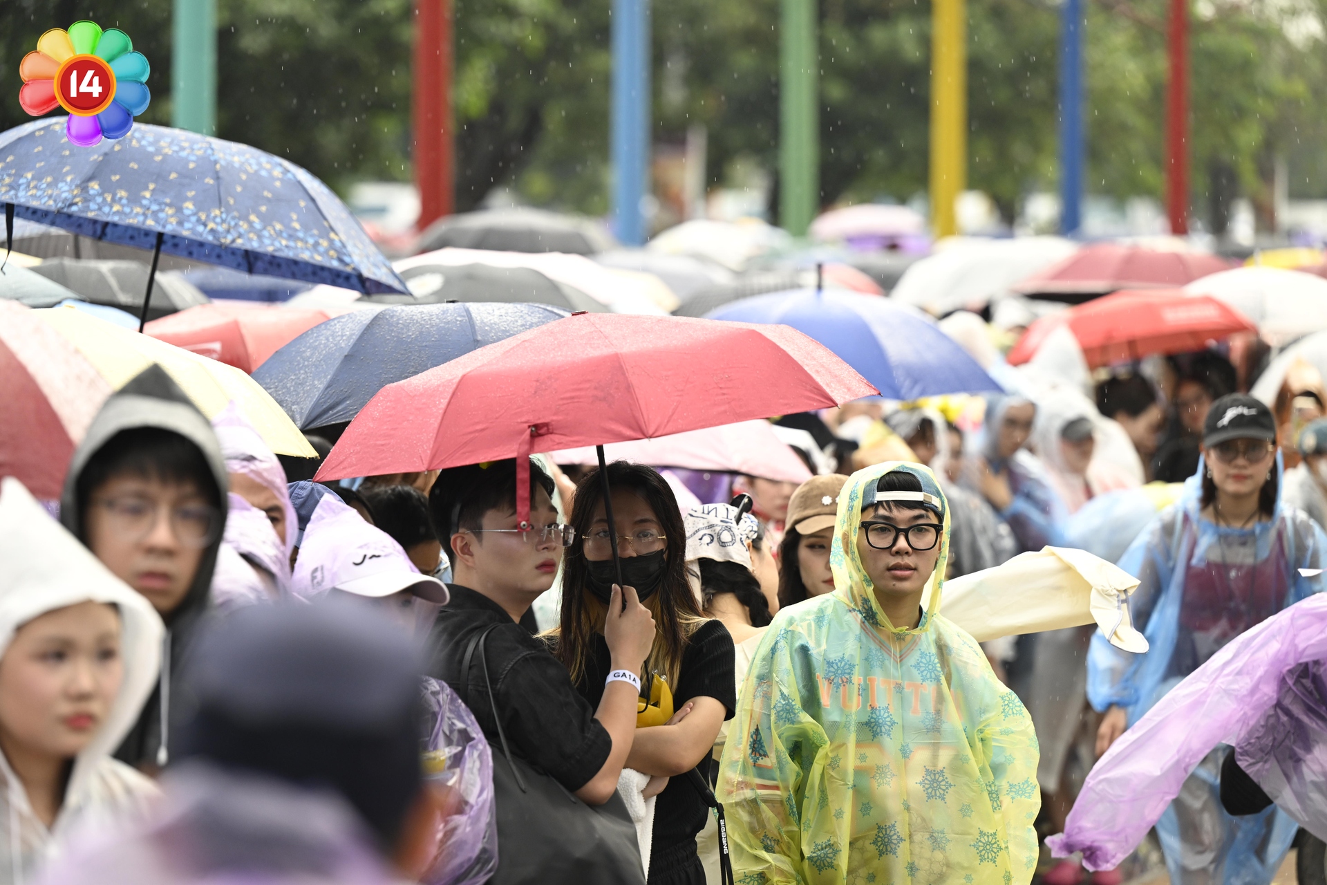 dsc55980007 dsc55980007