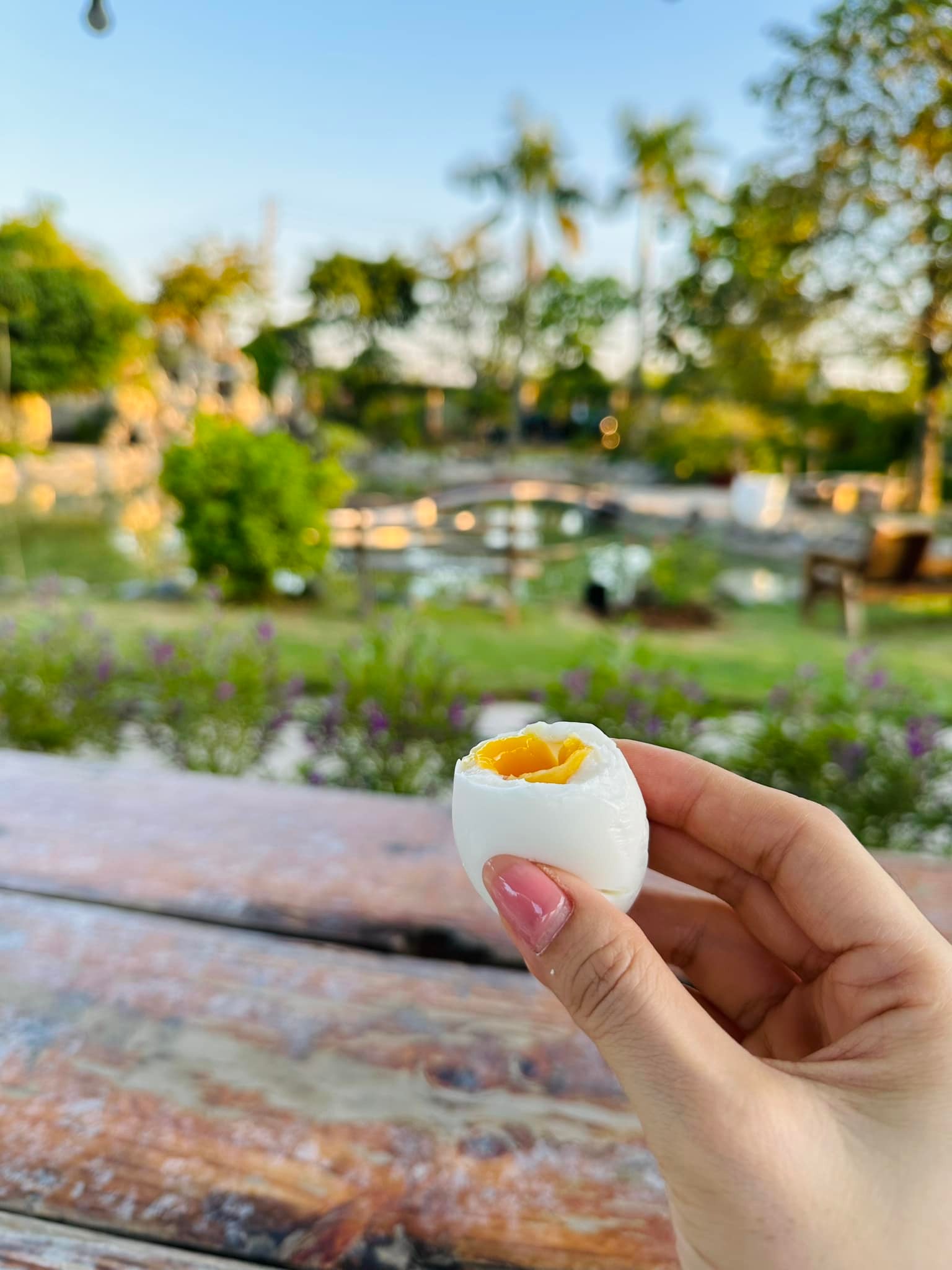 4704859281116378979868718625314658781649233n