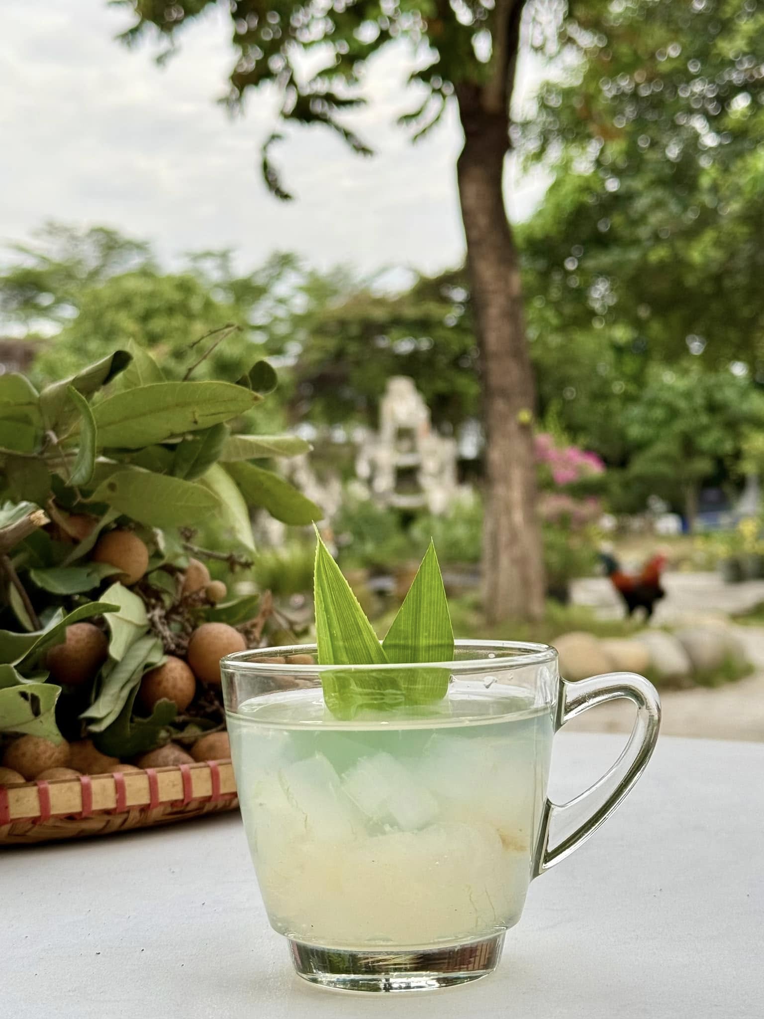 47414992311367028811696612671939565682630099n