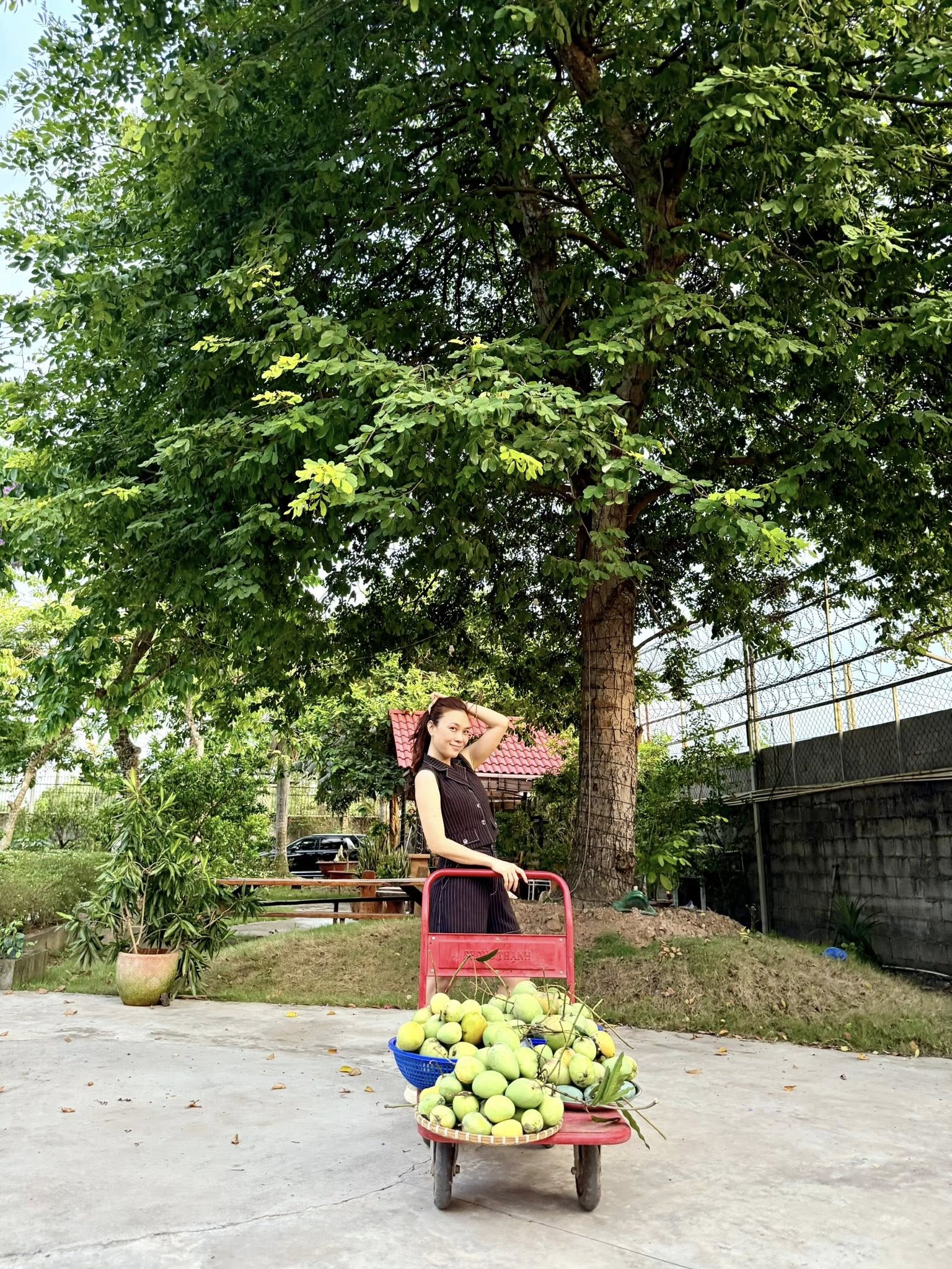 57679735113518847796514694201877932949667567n