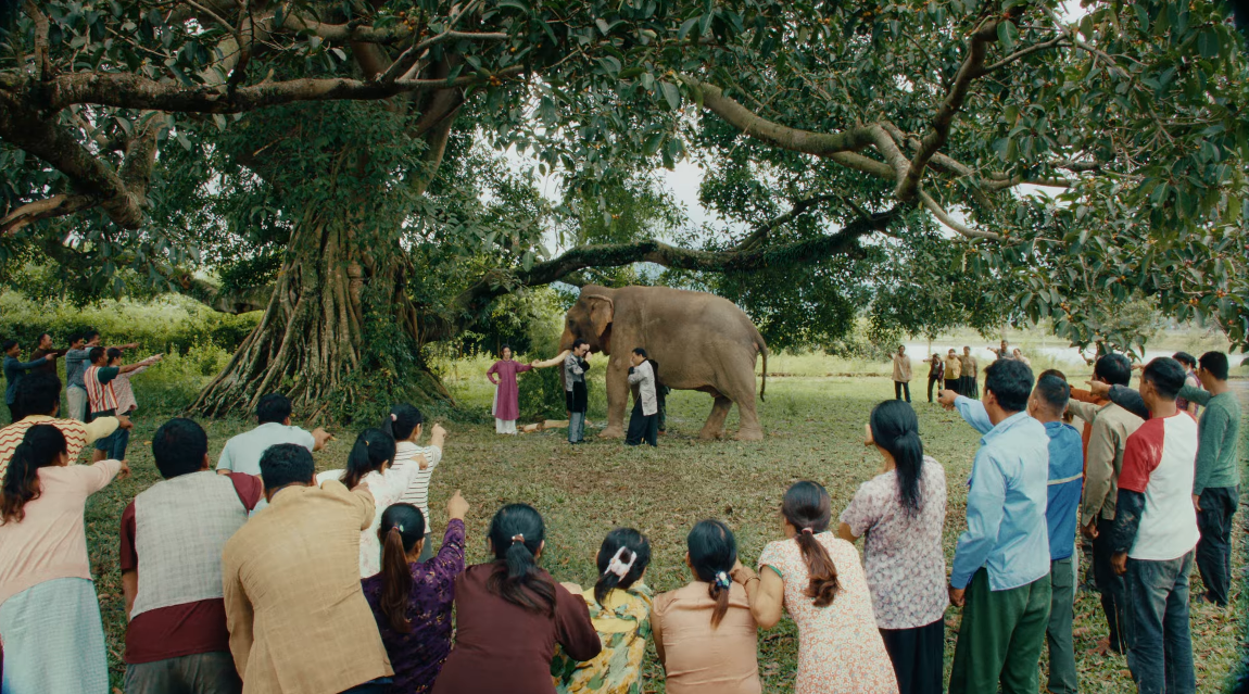 nh chup man hinh 2025 11 11 144044