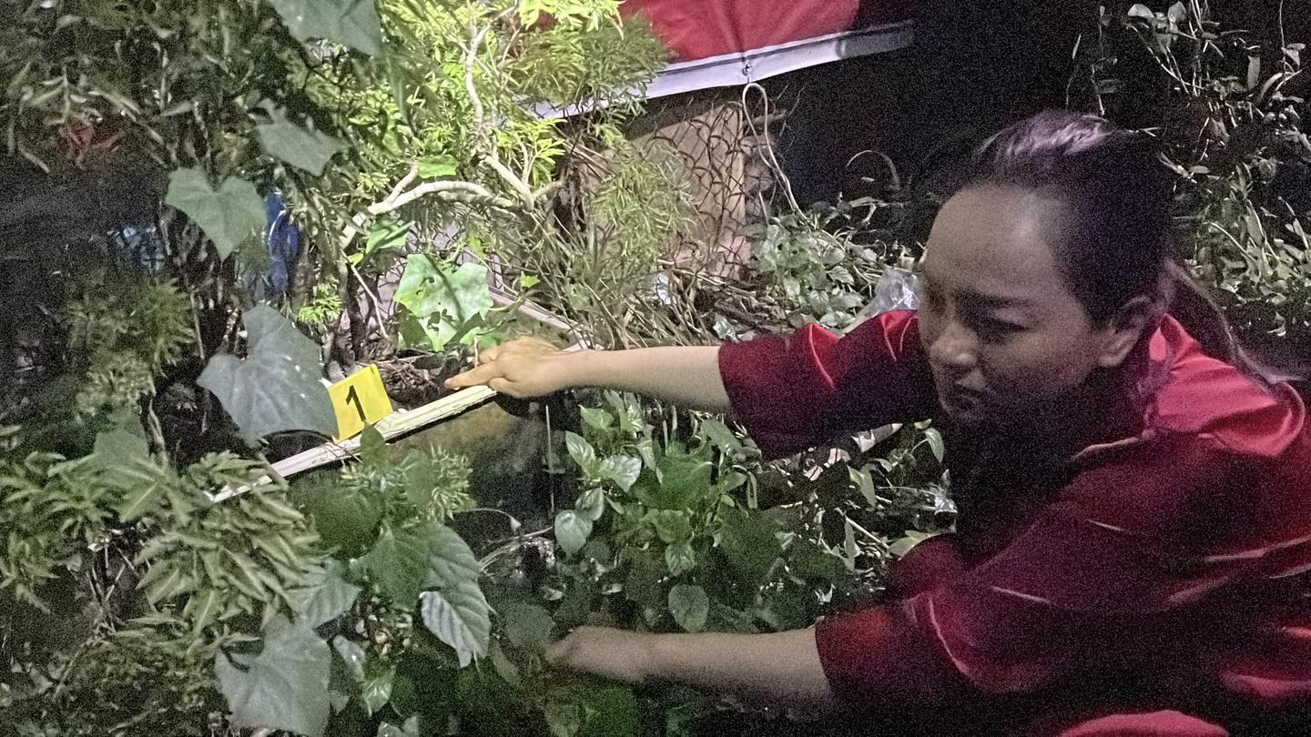 5834290708331796793589346645028563351238115n