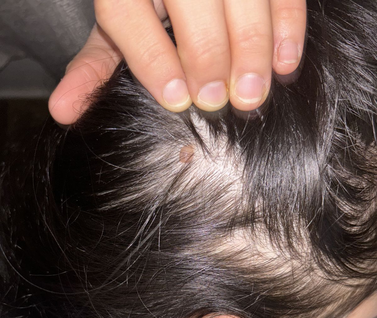 4f11ce4c16fd91c2f022ad58e6edfdb7