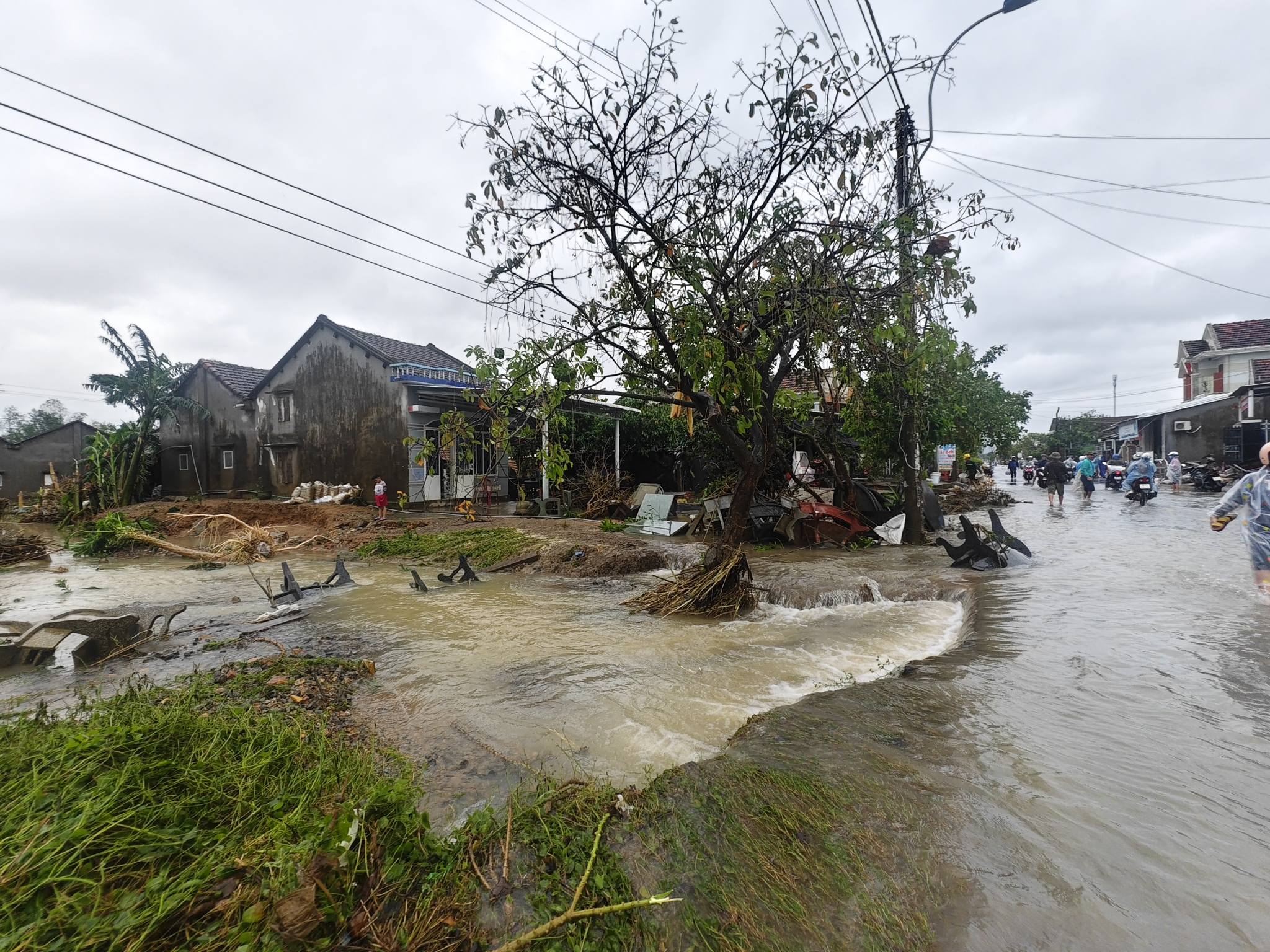 587203195254244889871836467848151108295686237n