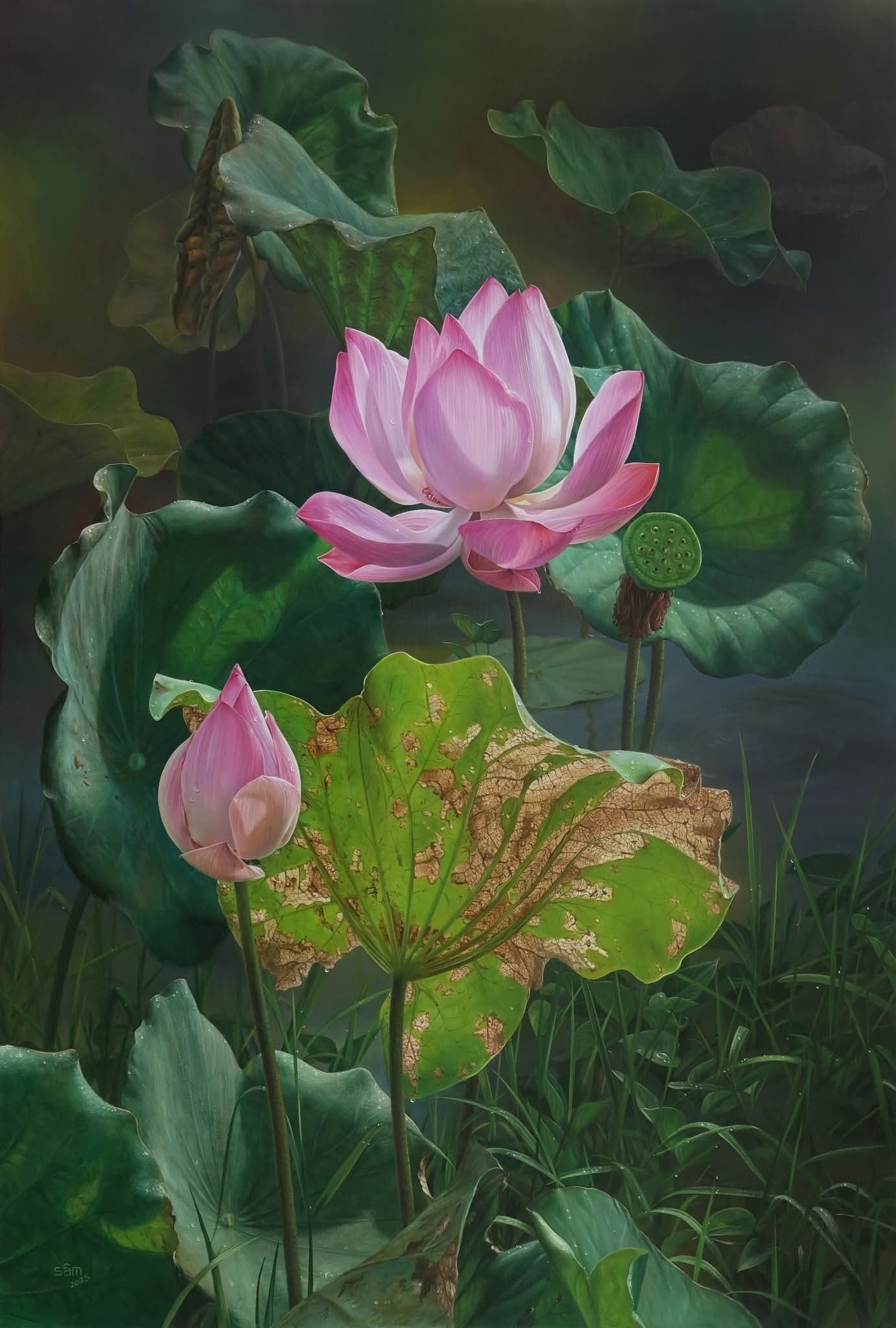 558240850257272917368605414505358328023984042n