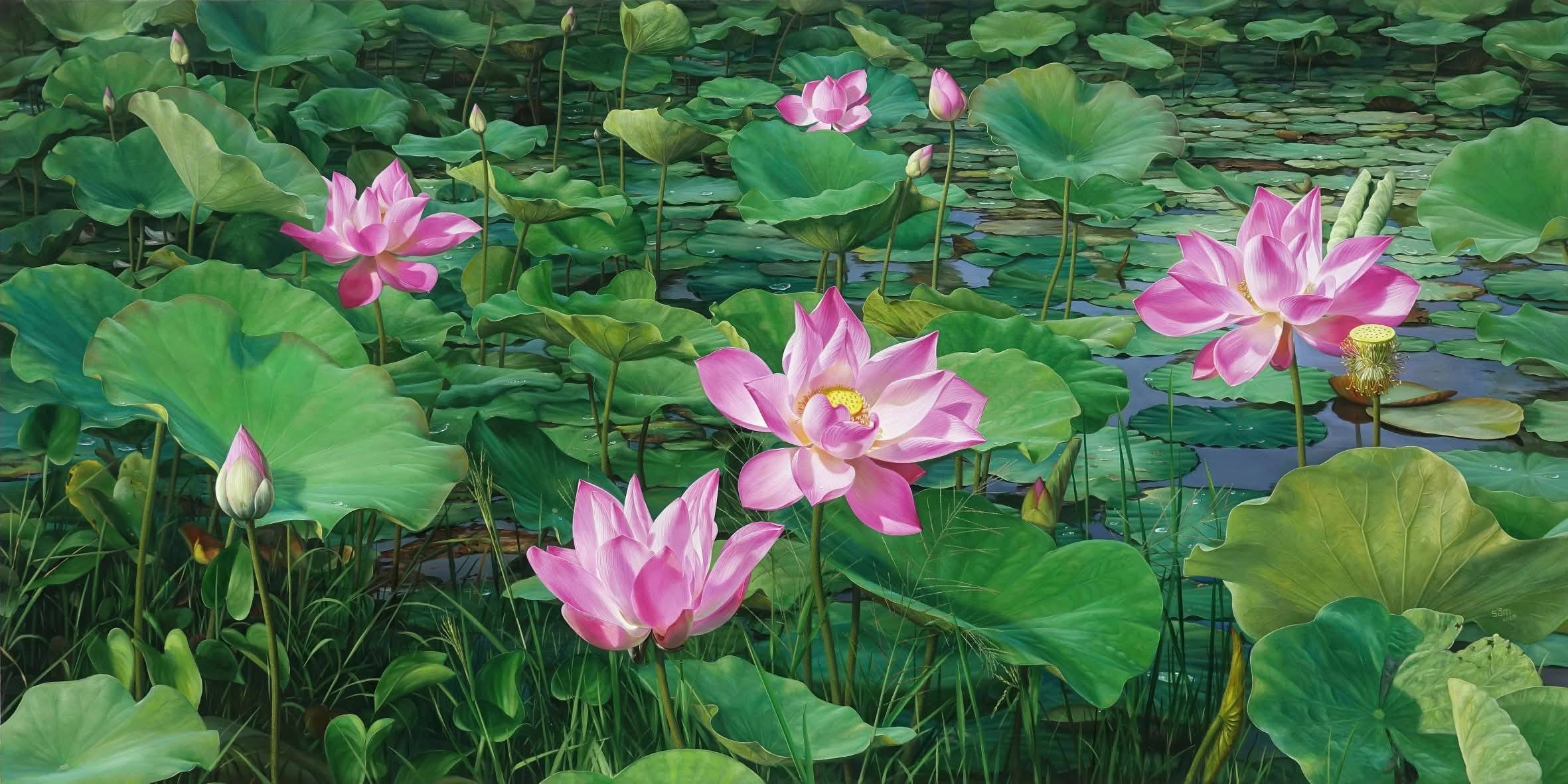 560527187257272831135280702875225691534104775n