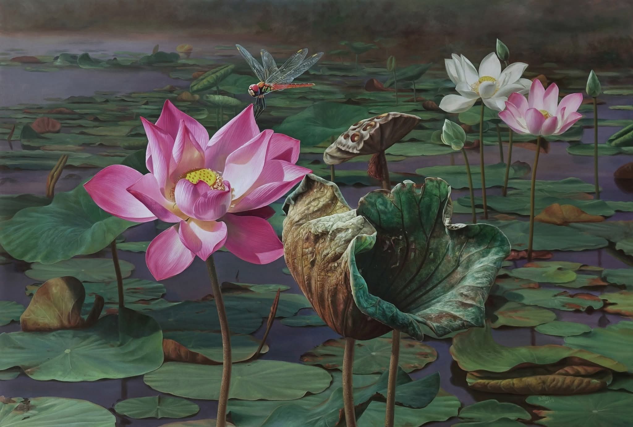 563975485257272913935272423111144009650571575n