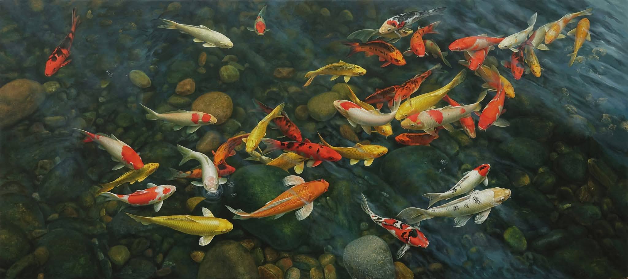 568632429258268080469089096863031614767233321n