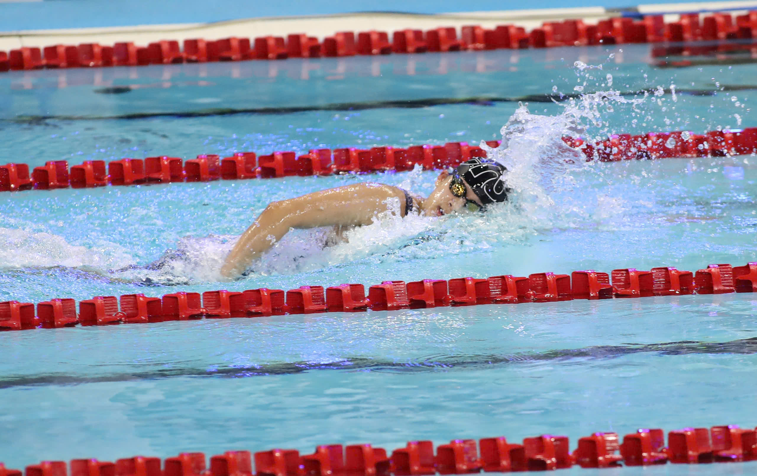 2691401836338313732 4