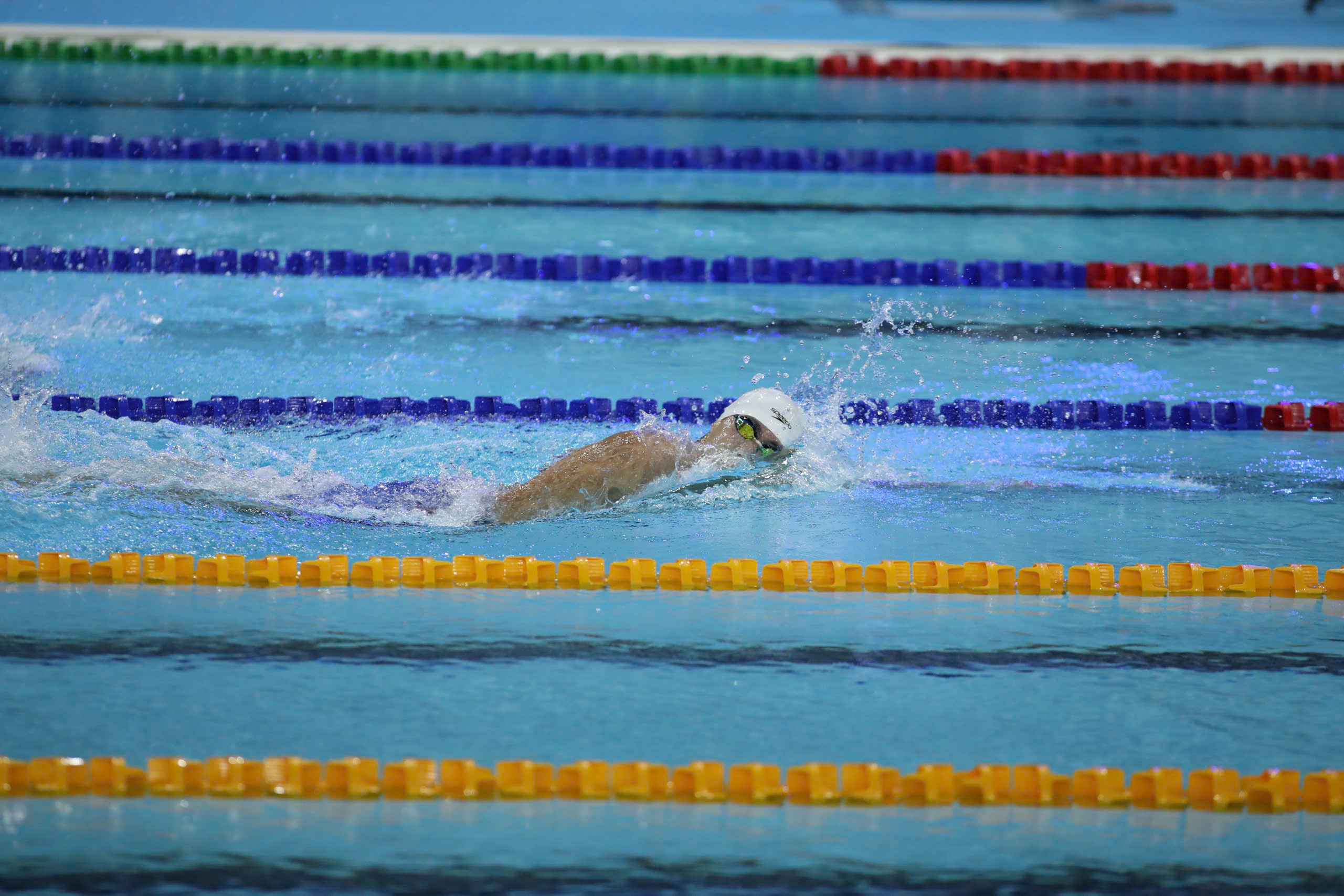 4230294494308640181 1